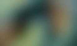 Dries Van Noten – Panthero Pants -Acne Studios Clothing OnModel Pdp3241 bmbX lwd