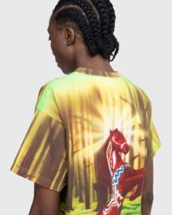 Stockholm Surfboard Club – Horse Airbrush T-Shirt Multi -Acne Studios Clothing Stockholm Surf Club GdQ0jsdr